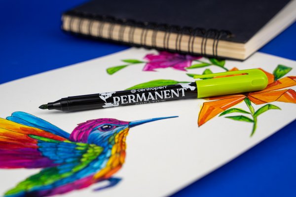 PERMANENT CREATIVE 2896